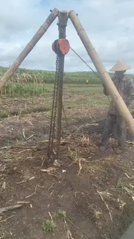 pengangkatan bonggel jeruk #petanibuahnagabanyuwangi 