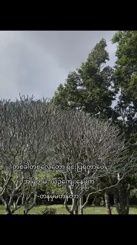 #fypage #foryoupage #fypシ゚viral🖤tiktok☆♡ #crdစာသား 