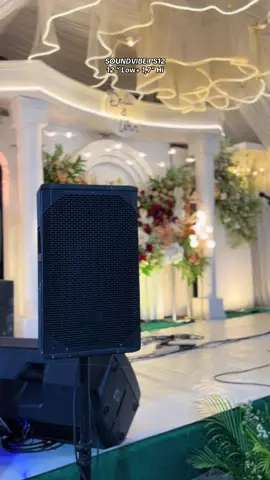 SOUNDVIBE PS12  #soundvibe #audio #soundsystsm #fyp 