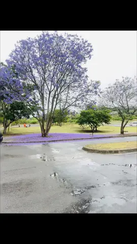 #GOODBYES aren’t forever 🥲🥹