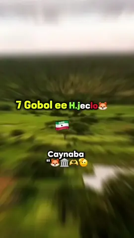 7gobol.gobolkee ka joogtaa🦊😂🫡#togdheersomalilandburcofypTogdheer #somaliasomalila 
