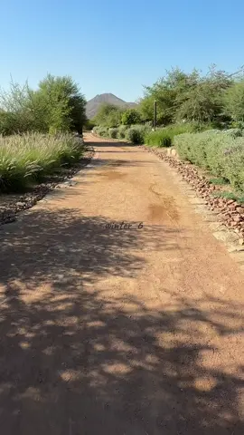 #fyp #محمد_المقحم #يوم_الجمعه 