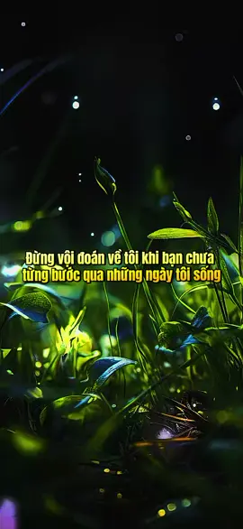 Đừng vội đoán về tôi khi bạn chưa  từng bước qua những ngày tôi sống. #caunoihay #caunoihaymoingay🍀🍀 #xuhuong #truyetlycuocsong 