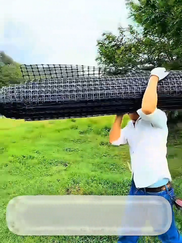 pagar jaring cocok buat peternakan dan perkebunan supaya terhindar dari hama #PagarKebun #JaringPelindung #JaringKebun #PagarJaring #pagarjaringternak 