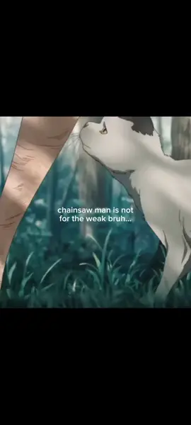 #chainsawman #pochita  #meowy #thegunappearedinmyhand  #swag 