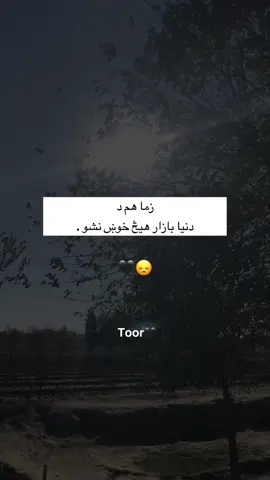 viwe problem repost pleaseزما هم د دنیا بازار هیڅ خوښ نه شو #foryoupage❤️❤️ #pashtolines #pashtopoetry #unfreezmyaccountplzztiktotke @TikTok UK #creatorsearchinsights 