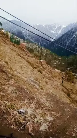 #miandam_swat #miantian #foryoupage❤️❤️ #plz #support 