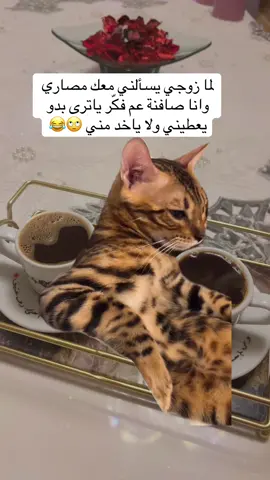 سؤال مو عاجبني شو جاوب قولولي 🙄😂😂😂😂😂#قهوتي_نوسة😊 #يومياتي☺️نوسة #قهوتي_نوسة☺️ #يومياتي😊نوسة #ضحك_وناسة 