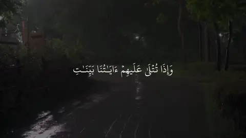 #تلاوة_خاشعة #قران #لاله_الا_الله_محمد_رسول_الله #الله #الاستغفار 