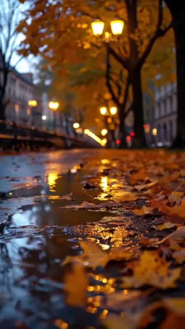 #rainyday🤎 #vibeoftheday⭐️ #foryoupage #fypシ゚viral🖤mood 