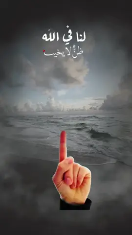 ولنا في الله ظن لا يخيب#كلام_من_ذهب #دعاء #يارب_فوضت_امري_اليك #fyp #الشعب_الصيني_ماله_حل😂😂 @خواطر | حلا الشـــــــام ✔️ @naima omar @🪶 النور @مغترب حتى إشعار آخر @حالتي @A S D @نـســــــــائم آلجَنــــ🕊ـــة @خواطر عابره lesson &  thought @آيات القرآن @mohamed gamal @🫀 @الهـ⃪اشمـ⃪يـ⃪ه_⁵¹⁵ @Chaw Rash🖤 ـ꙰𝄠 