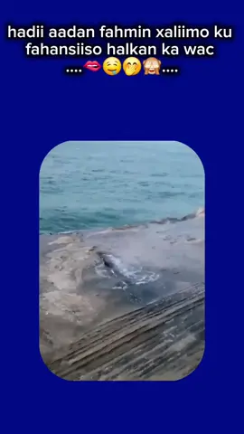 love saar zxp ❤️ 🤍 💚 🇸🇴 