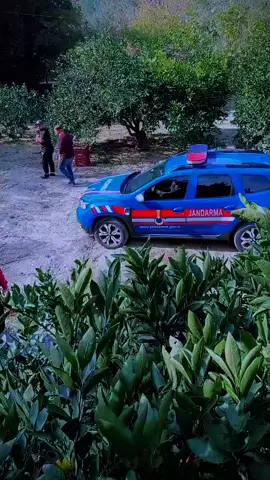 #مالي_خلق_احط_هاشتاقات 