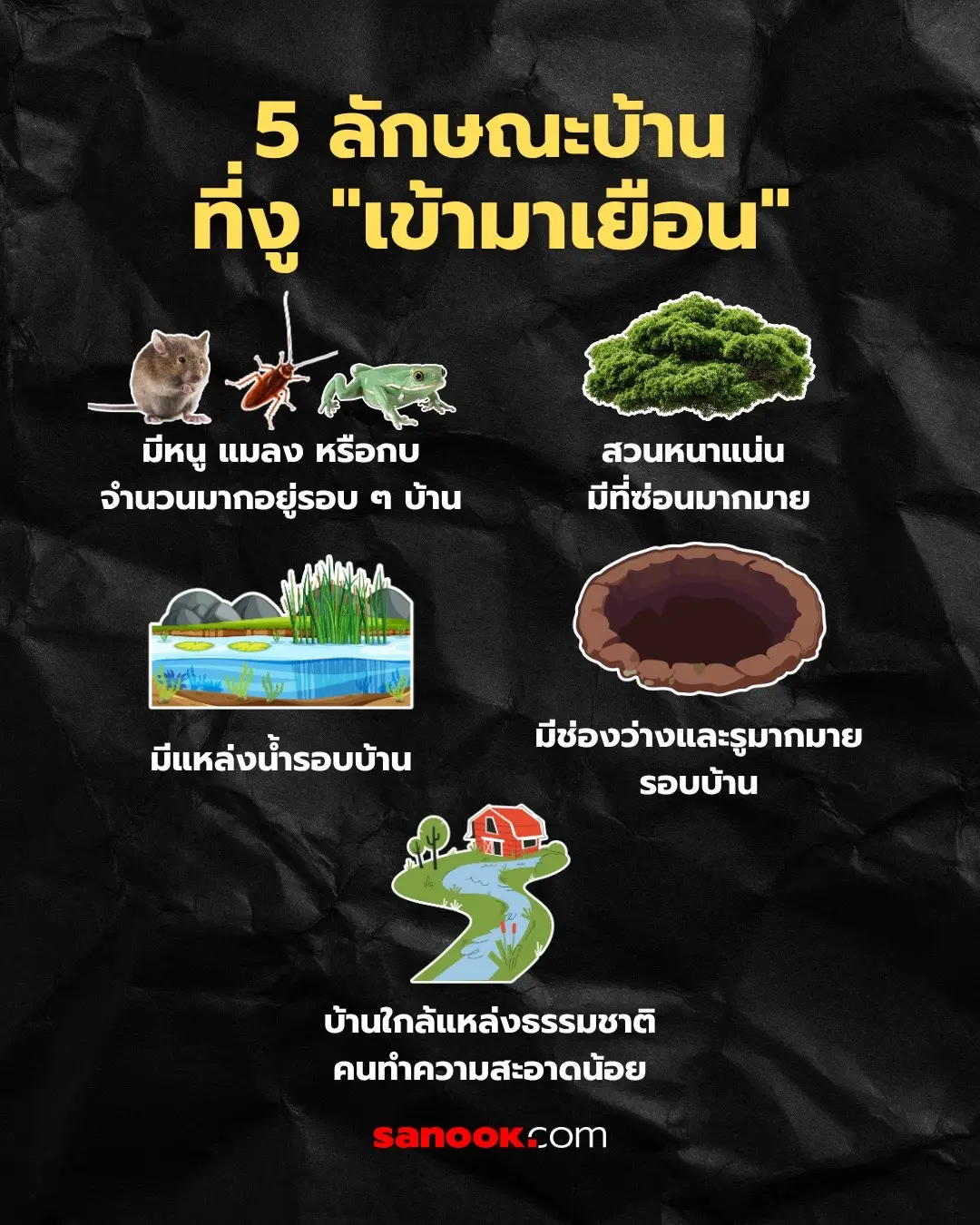 🐍✨ 5 ลักษณะบ้านที่ 