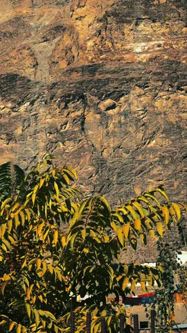 شرم آ تی ہے کہ دُشمن کسے سمجھیں محسنؔ دشمنی کے بھی تو معیار ہوا کرتے ہیں۔