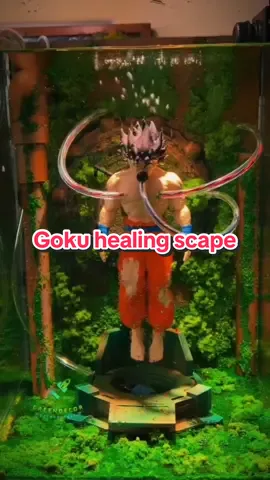 Goku healing chamber Cũng một khoảng thời gian mới quay trở lại làm loại hồ này. Đã có những cải tiến tốt hơn. #dregreendecor #aquascape #becamini #goku #foryoupagе 