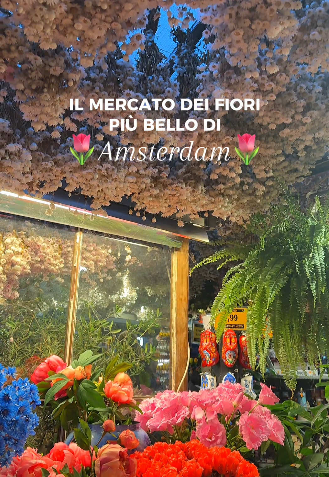 Bloemenmarkt-Il mercato dei fiori di Amsterdam 🌷🌺🌸🌼🌻🌹 #bloemenmarkt#mercatodeifiori#flowermarketamsterdam#flowermarket#amsterdambloemen 