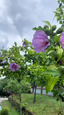 #جمعة مباركة 💕#