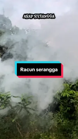 supersmoke. asap memang tebal. bukan jenis asap yang lama #fyp #asap #serangga #racun #racunserangga 