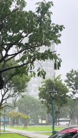 Hèn chi đi chợ mấy cô hay nói vậy 😂  #tamtrang #radiotamtrang 