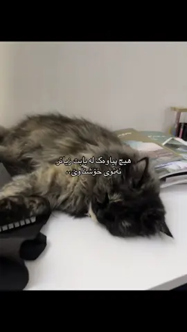 Really?#foryou #foryoupageofficiall #foryoupage #fyppppppppppppppppppppppp #hawler 