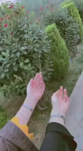 da you arman pora zama ka🤍🙈🤲