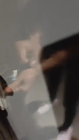 dinnnarrr #bunniesoftiktok #giantrabbit #rabbit 