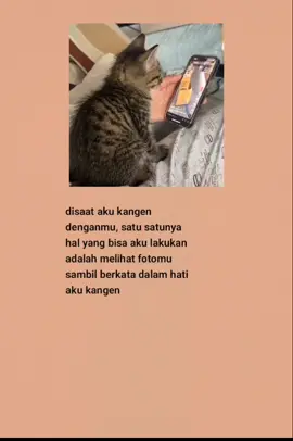 #katakatasedih #katakatabijak #fyp #viral #laguindia 