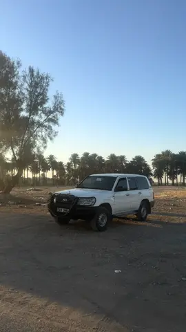 #ماشاءاللّٰه #مونيكا  اريل لو بدون اريل؟