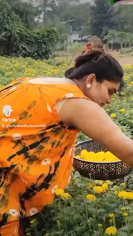 #foryoupage❤️❤️ #hollywoodstudios #Bollywoodoutfit #Bollywood 