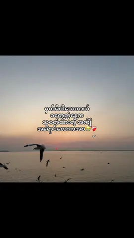 စတွေ့တဲ့နေ့❤️‍🩹 #စာတို #tiktokmyanmar🇲🇲 #views 
