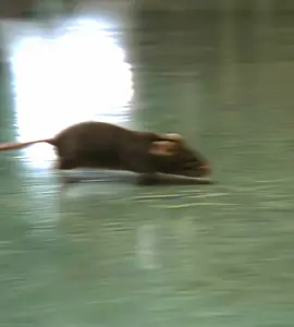 Hollywood movie edits Viral video for you 1millen Movie editor...............