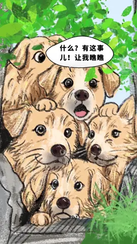 原来狗狗也喜欢吃瓜#畫一個故事 #專治不開心 #看一遍笑一遍 #小動物們能有多治癒 #搞笑萌寵 