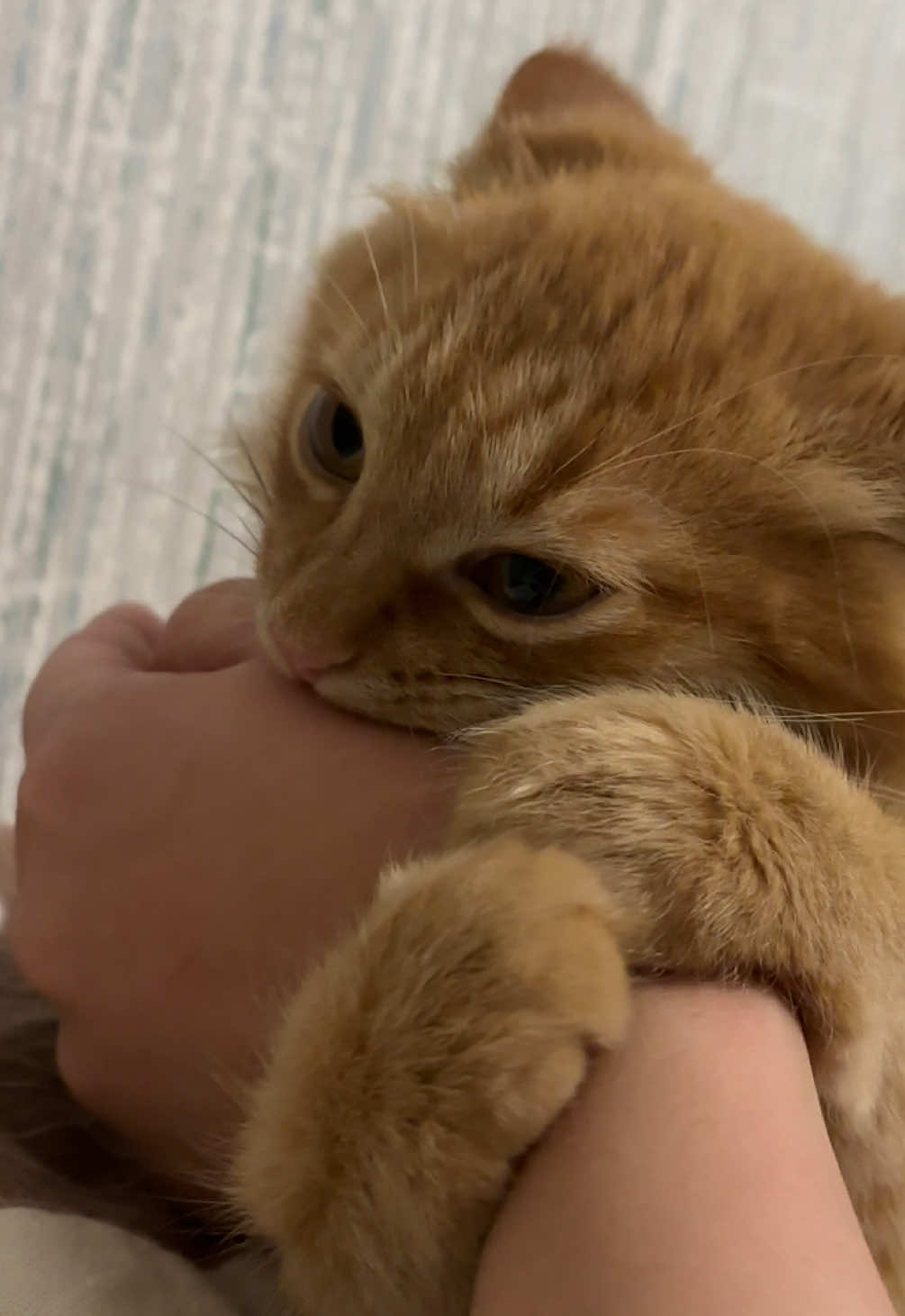 Дезинфекция дело такое…