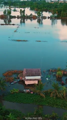 Dạ Cổ Hoài Lang, Phong cảnh mùa nước nổi miền tây, #huynhphutien #dacohoailang #xuhuong #canhdep