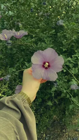 #CapCut #تصميم_فيديوهات🎶🎤🎬 #مجرد________ذووووووق🎶🎵💞 #مشاهير_تيك_توك #مالي_خلق_احط_هاشتاقات🧢 