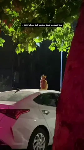 Nabèt🖤#foryou #viral #acctives? 