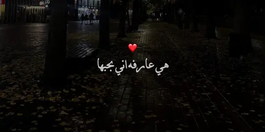 متعرفش ان روحي فيها حرفيا😍❤️#حب #حبيبي #foryou #fyp #تصميمي 