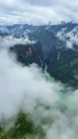 Hà Giang nắng hồng gọi mây #donglongbong #hagiang #songnhoque #mapileng 