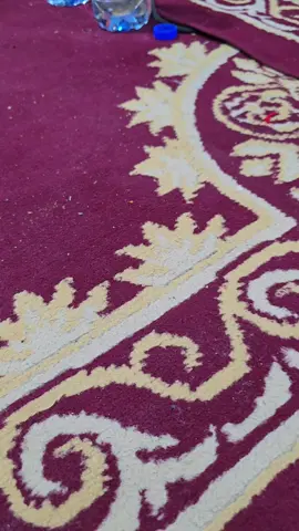 #سيدنا_محمد_رسول_الله #ادرار_01_تيميمون_بشار_المنيعة_غرادية #تيك_توك #ادرار_بشار_ورقلة_وهران_الجزائر_عنابة #اللهم_صلي_على_نبينا_محمد_وعلی_ال_محمد 