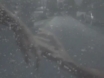 ، لا والله مرت سنتين وثلاث أشهر  طلبِچ ميمي @مَلااك.  .  #تصميم_فيديوهات🎶🎤🎬 #foryoupage #foryou #باسم_الكربلائي #ضليت_اتاني_يمتى_نتلاكه 