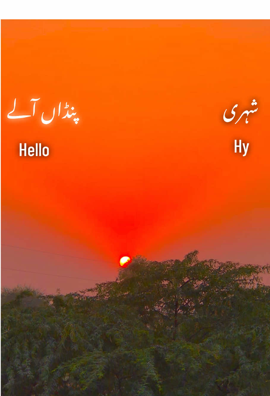 Comment 🍀🌿🍂🫡🌿🌱#foryoupagе     #pindawale #1millionviews #unfreezemyaccount🙏 #ساڈا۔پنجاب🍁🥀 @TikTok Pakistan 