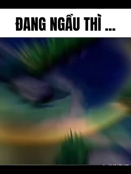 T đang sĩ gái mà m làm j đấy elsu ? : ))))