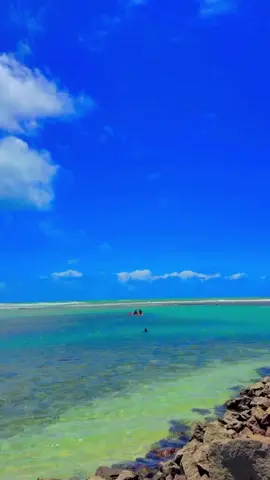 O paraíso é aqui ❤  Passeio de buggy Ponta a Ponta em Porto de Galinhas  #portodegalinhas #passeiodebuggydeportodegalinhas #oquefazeremportodegalinhas #passeiodebuggy #passeiodebuggyemportodegalinhas 