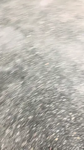 🤏🏻#54pkendari #54p #54psulawesi #foryoupage #fyp 