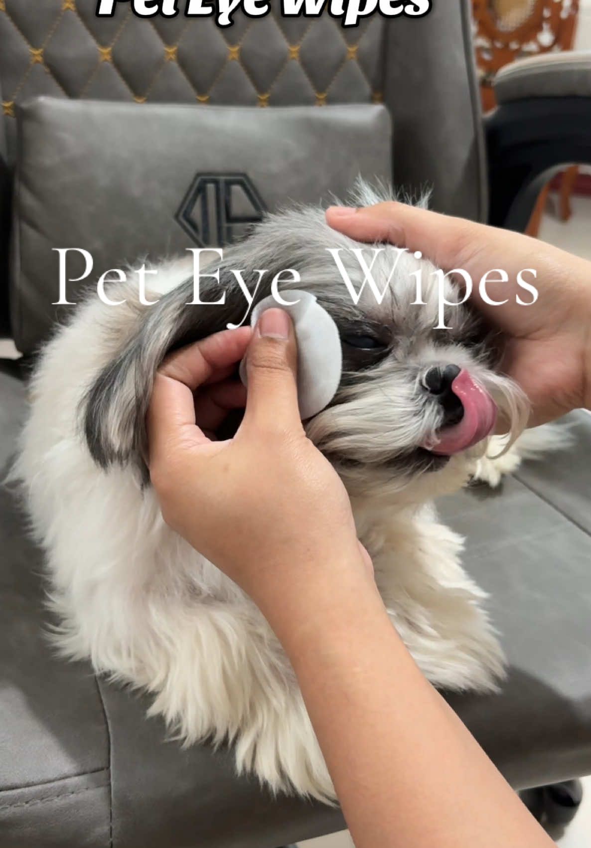 Pet Eye Wipes for our fur babies #peteyewipes #eyewipesfordog #dogessential #petneeds 