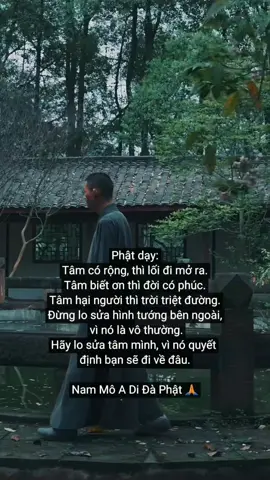 Tâm có rộng, thì lối đi mở ra. Tâm biết ơn thì đời có phúc. Tâm hại người thì trời triệt đường. Đừng lo sửa hình tướng bên ngoài, vì nó là vô thường. Hãy lo sửa tâm mình, vì nó quyết định bạn sẽ đi về đâu. #trietlycuocsong  #tamtrang  #xuhuong 