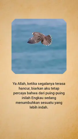 #quotes #quotesislam #reminderislamic #islamicquotes #quotesaesthetic 