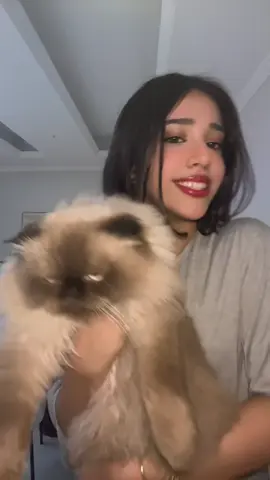 كيوت كوتي💗#شفا#مالي_خلق_احط_هاشتاقات#اكسبلور 