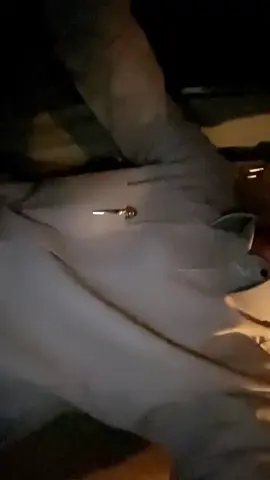 #explore #fyp #foryou #viral 